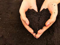 A pair of hands holding dark, rich soil, forming the shape of a heart.
