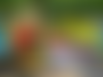 Jar with leaves and branch in water on stone, near butterfly print on clear block and colorful scarf with yellow, red, and blue patterns.