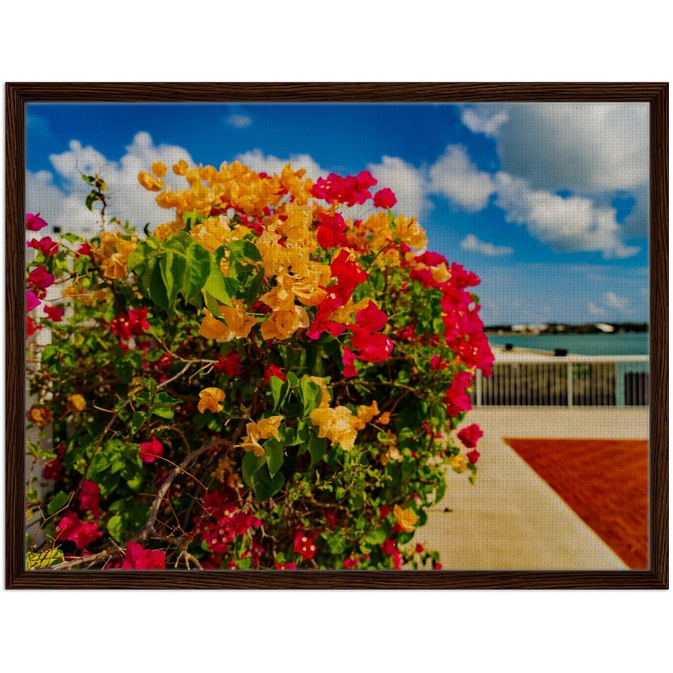 Thumbnail: Key West The Florida Keys Framed Canvas