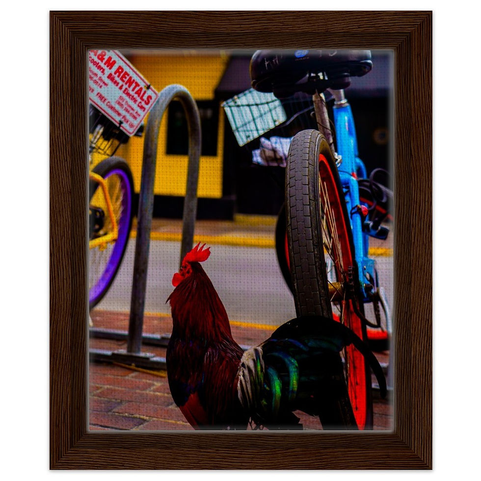 Thumbnail: Key West The Florida Keys Framed Canvas