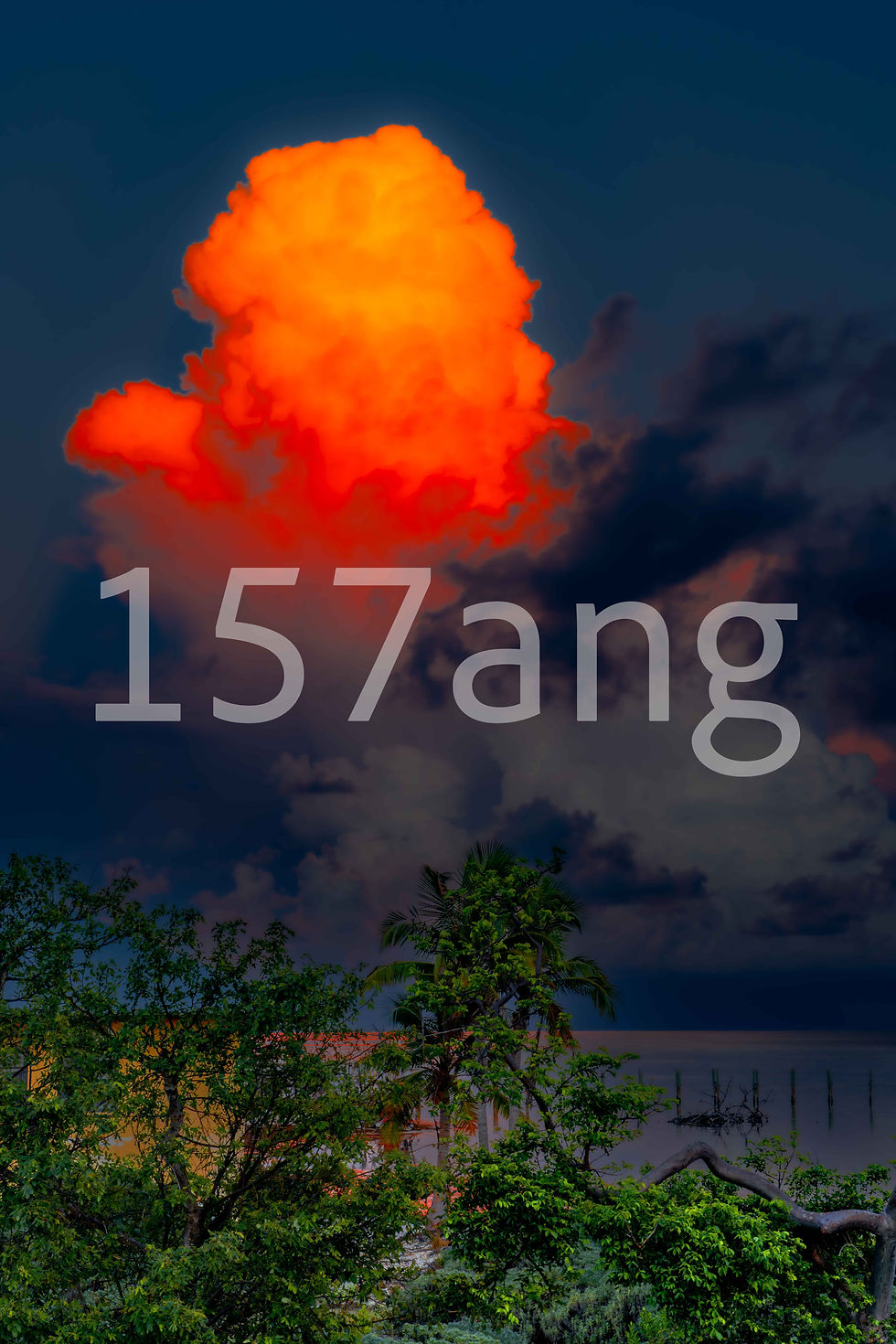 1236