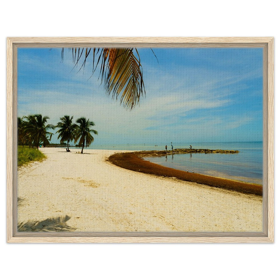 Thumbnail: Key West The Florida Keys Framed Canvas
