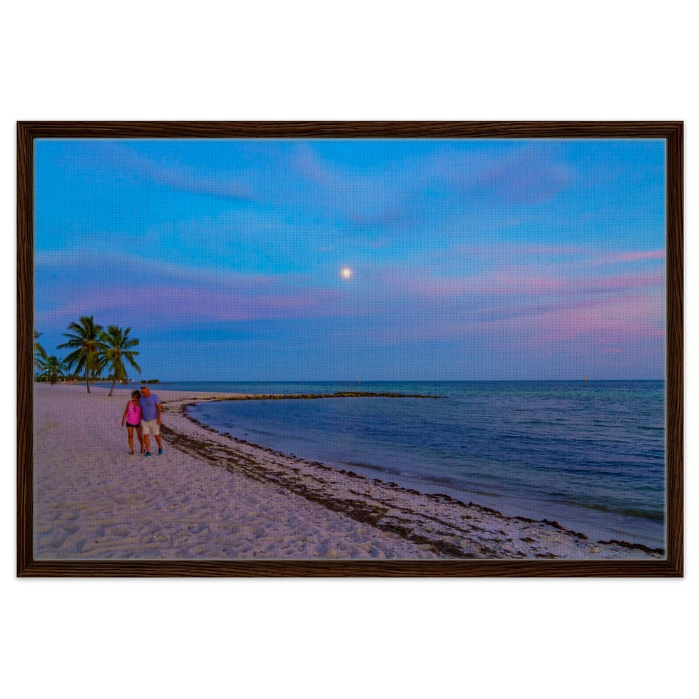 Thumbnail: Key West The Florida Keys Framed Canvas