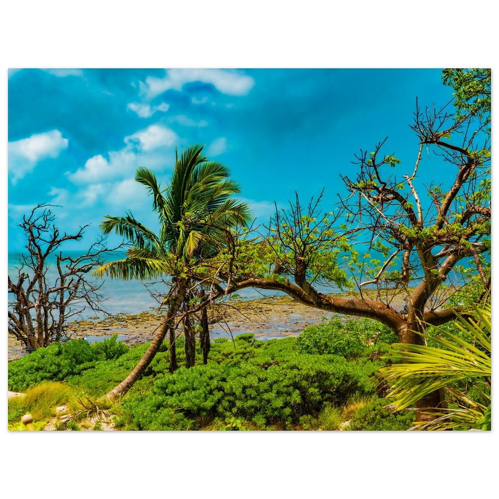 Thumbnail: Wall ART, The FLorida Keys Art: Canvas/Framed/Poster/Glossy/Hanger/Matte/Metal