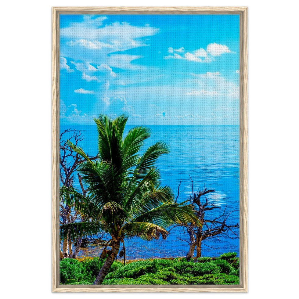 Thumbnail: Key West The Florida Keys Framed Canvas