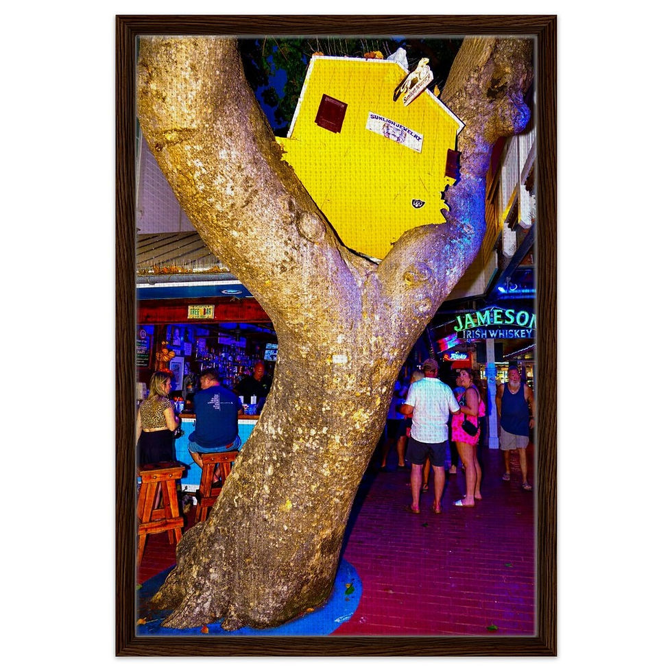 Thumbnail: Key West The Florida Keys Framed Canvas