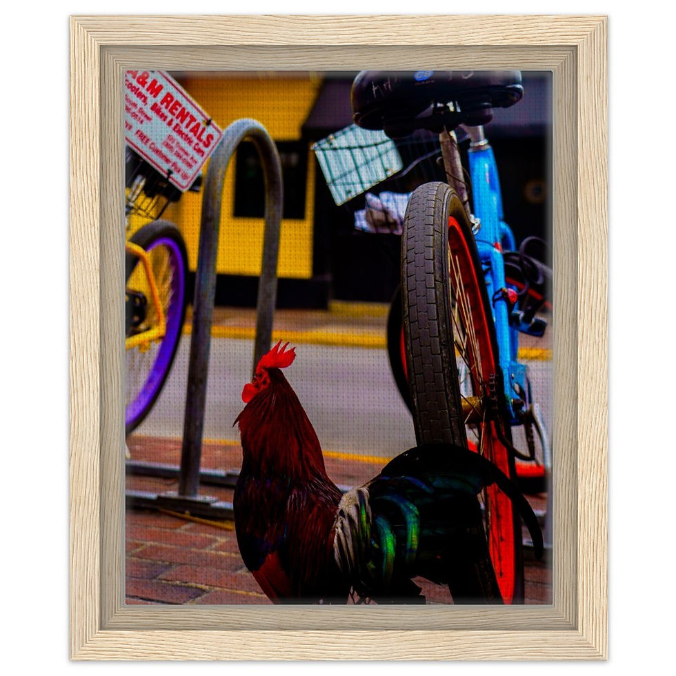 Thumbnail: Key West The Florida Keys Framed Canvas