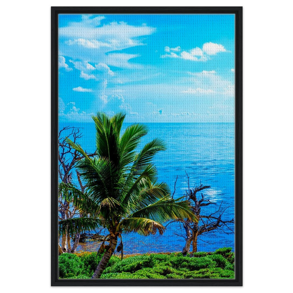 Thumbnail: Key West The Florida Keys Framed Canvas