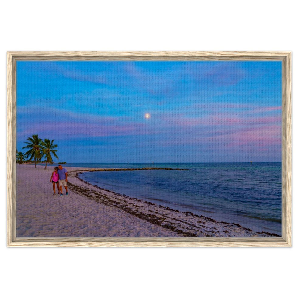 Thumbnail: Key West The Florida Keys Framed Canvas