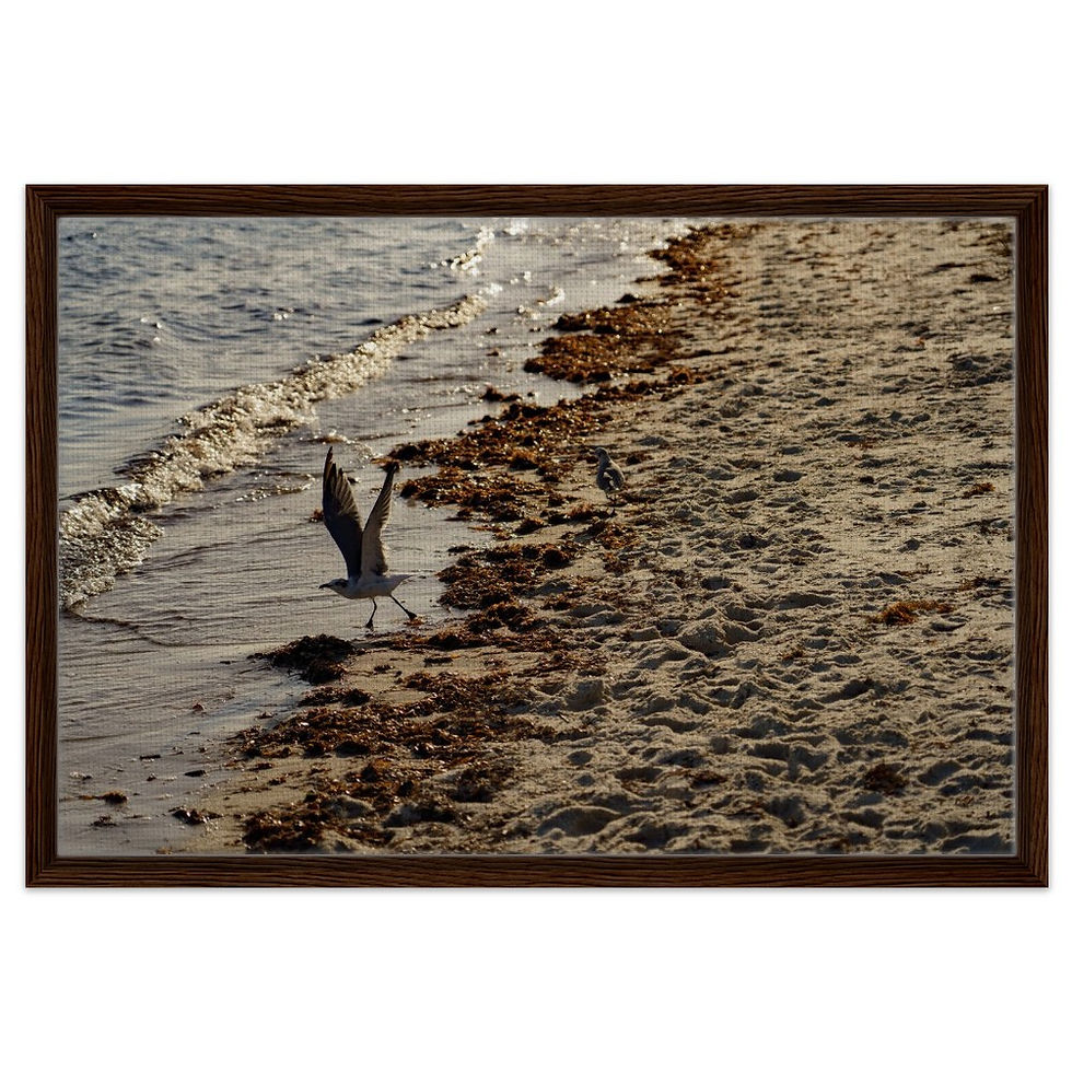 Thumbnail: Key West The Florida Keys Framed Canvas
