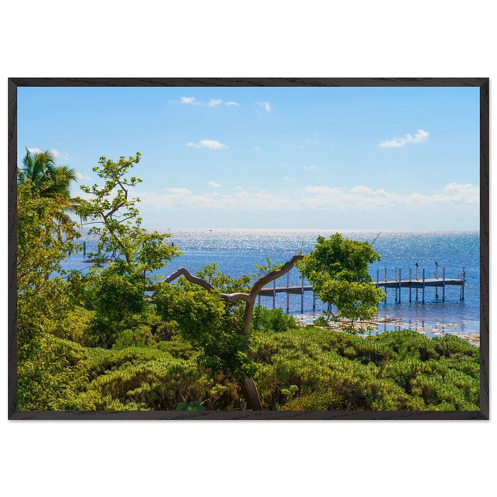 Thumbnail: Wall ART, The FLorida Keys Art: Canvas/Framed/Poster/Glossy/Hanger/Matte/Metal