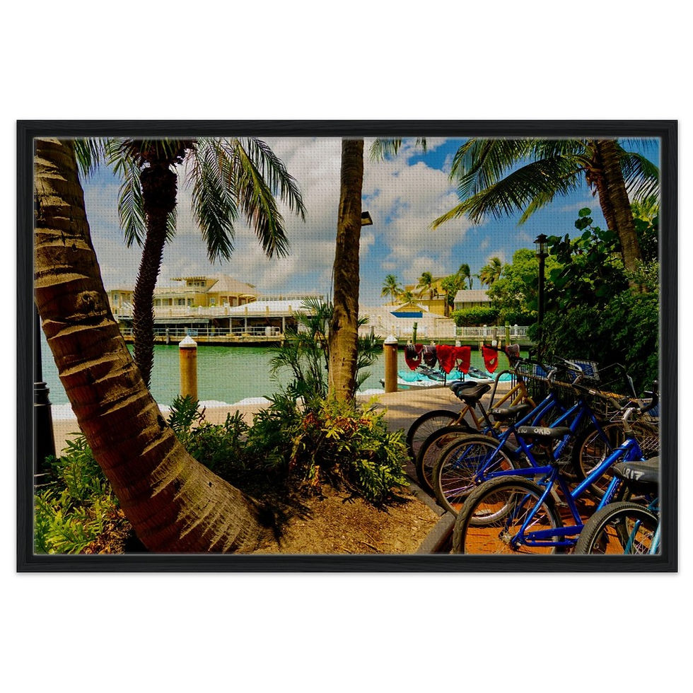 Thumbnail: Key West The Florida Keys Framed Canvas