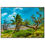 Thumbnail: Wall ART, The FLorida Keys Art: Canvas/Framed/Poster/Glossy/Hanger/Matte/Metal
