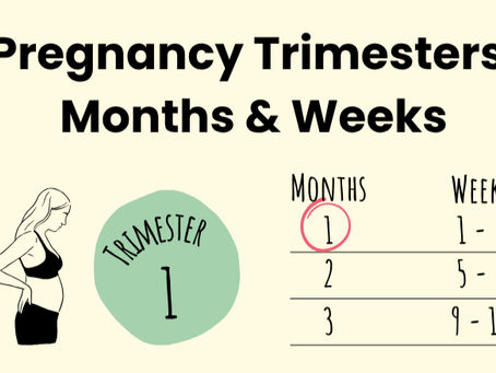 The First Month of Your Pregnancy