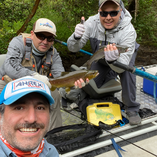 El viaje que nace en el sur y despega al mundo