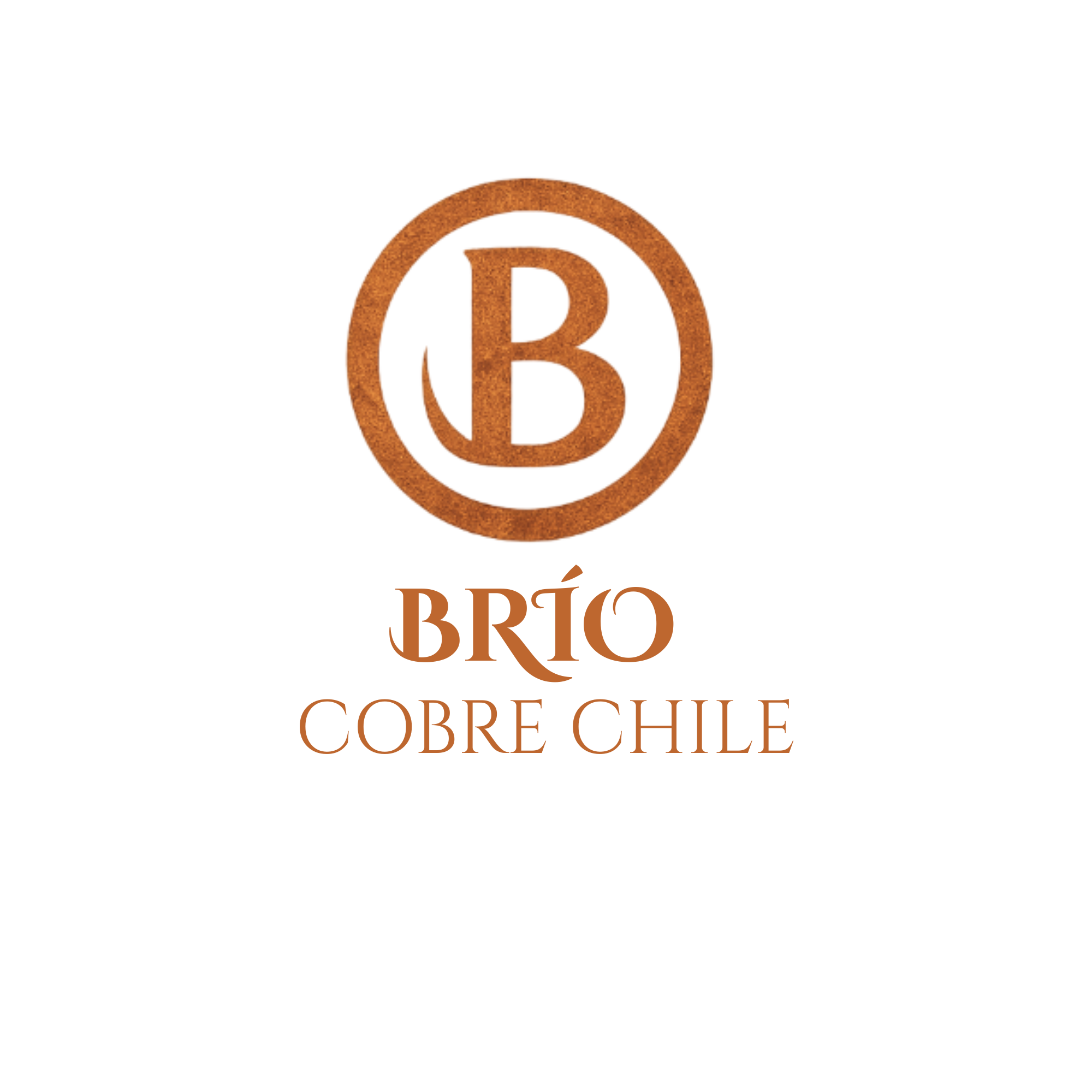 Foto del escritor: Brío Cobre Chile