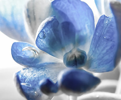 Blue Waters.jpg