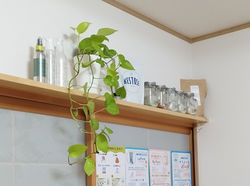 1731562991617_edited