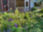de tuin 3 maanden later, half september
