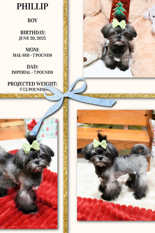 Pinterest Pin copy 5.png