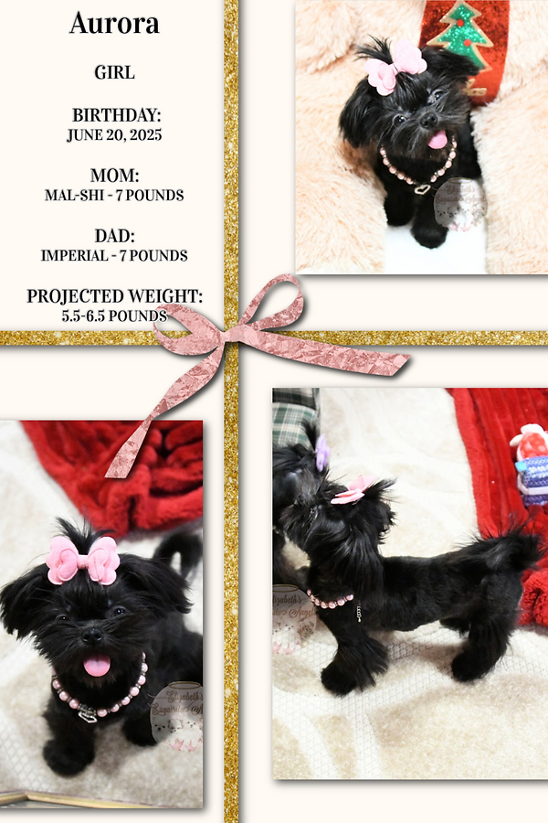 Pinterest Pin copy 2.png