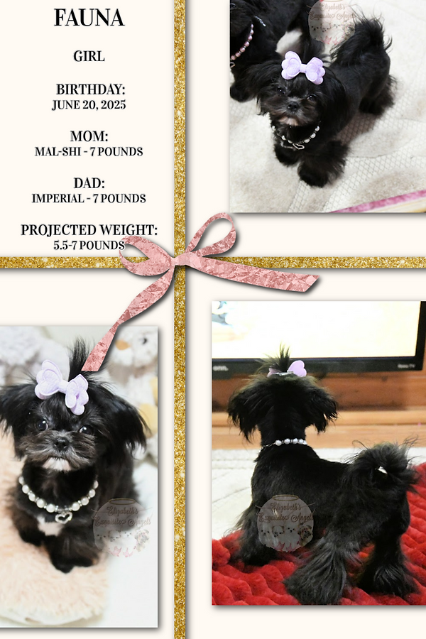 Pinterest Pin (18).png