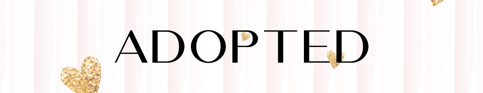 Etsy Shop Big Banner (7).png