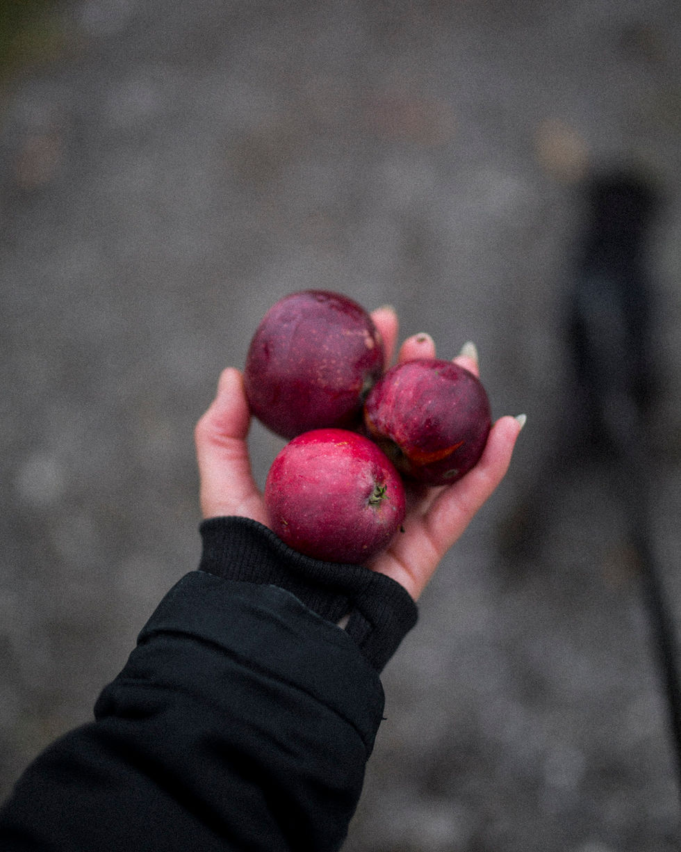 Snow White's Red Apples