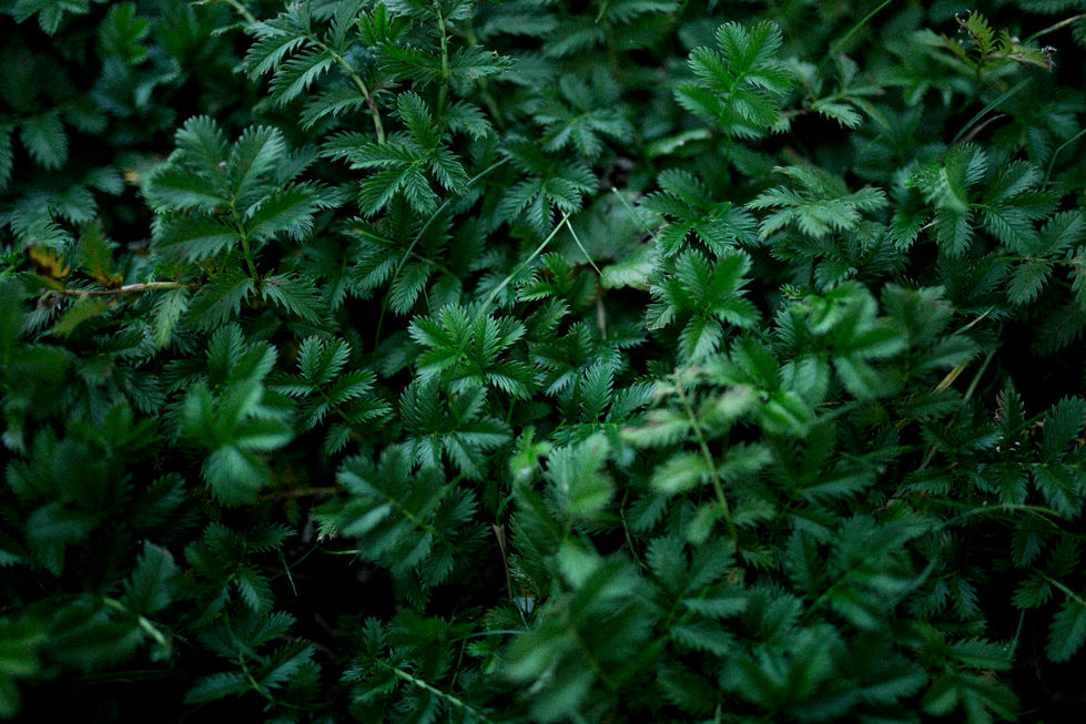 2025 09 Vanessa Dworschak x Marlis Personal Potraits 68