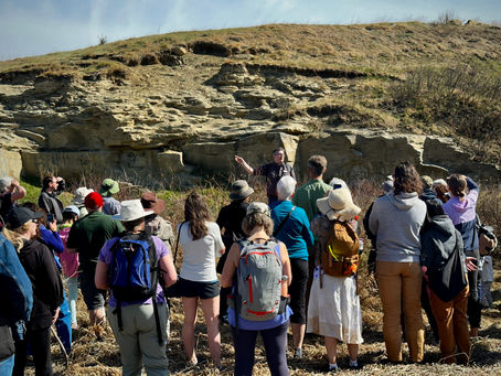 Nose Creek Walk & Talk: A Guided Community Hike - August 29