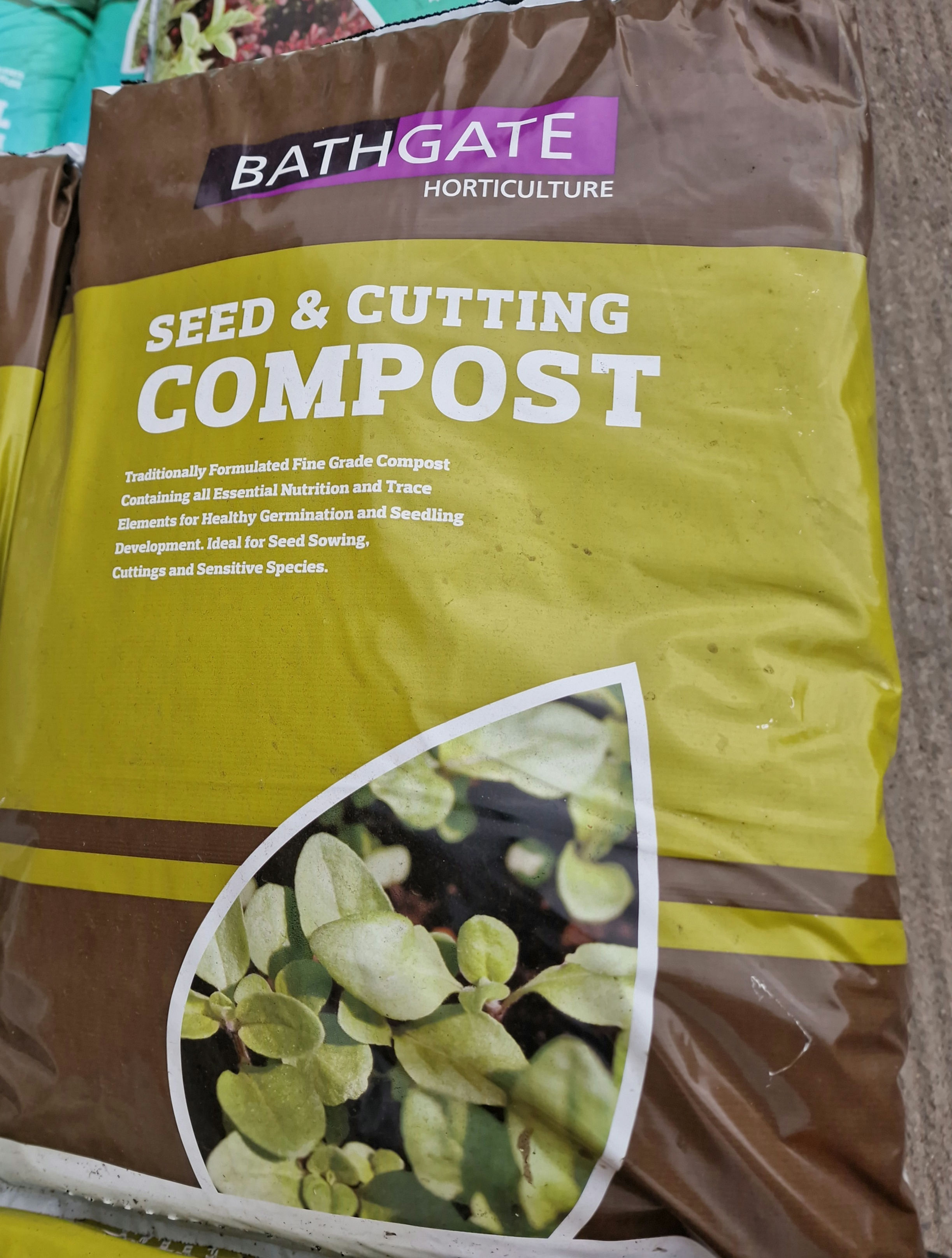 Seed and cutting compost