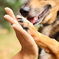 AdobeStock_300471698_edited.jpg