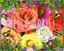 hello-april.gif