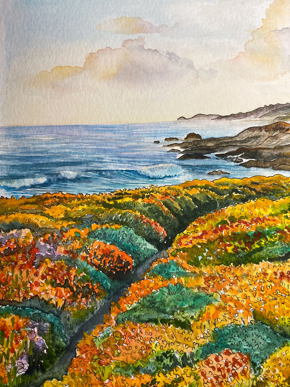 Thumbnail: Big Sur in Bloom