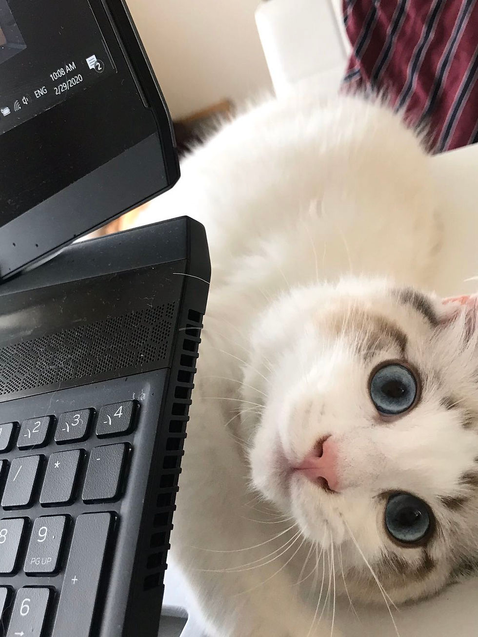 What are you doing?