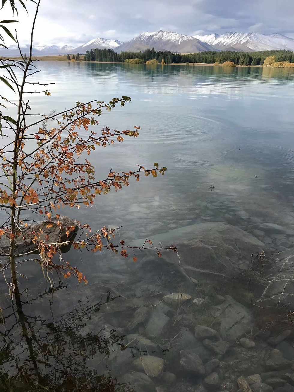 Tekapo