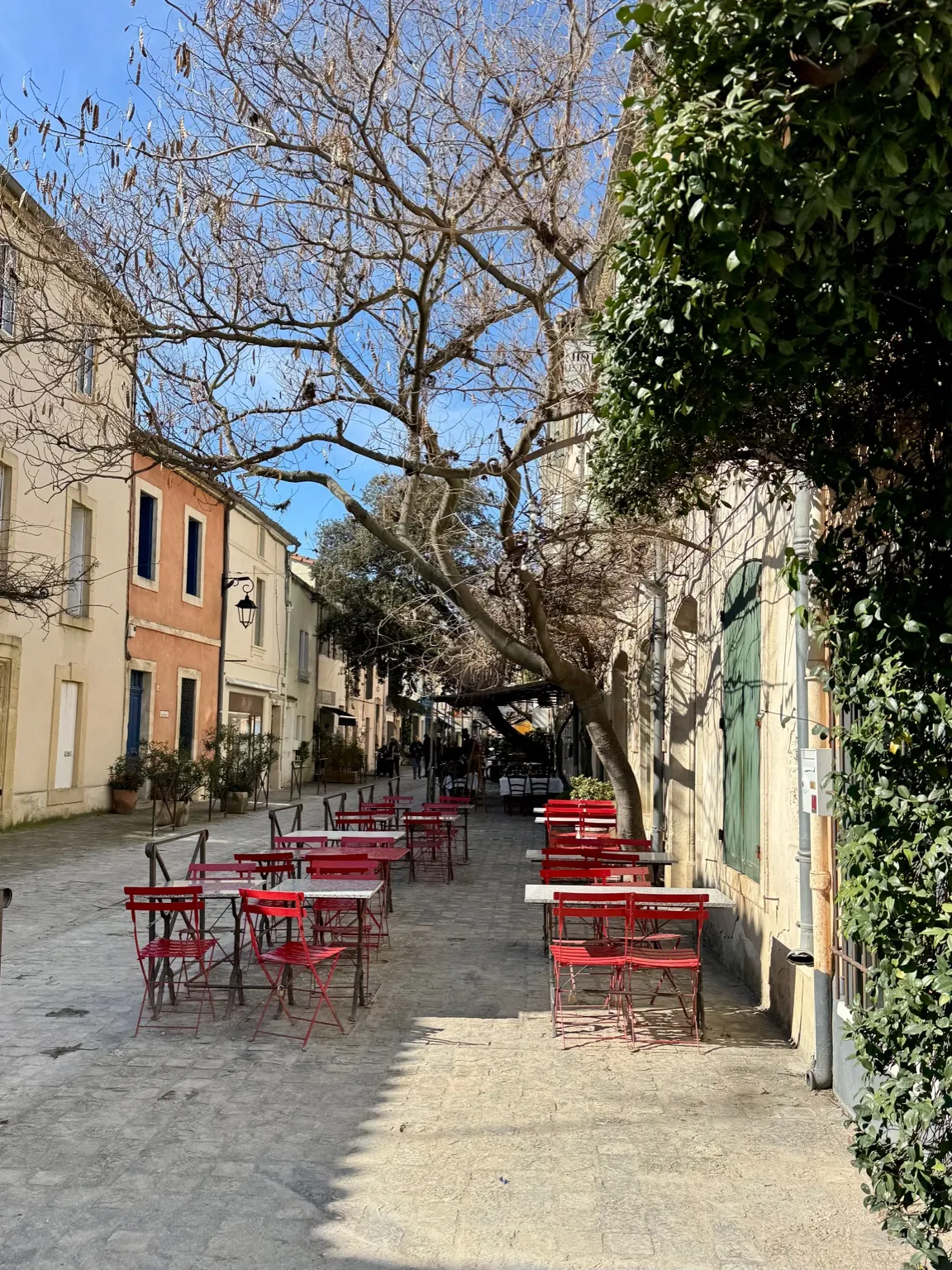 Urocza uliczka w Camargue z czerwonymi stolikami kawiarni ustawionymi w cieniu drzew.
