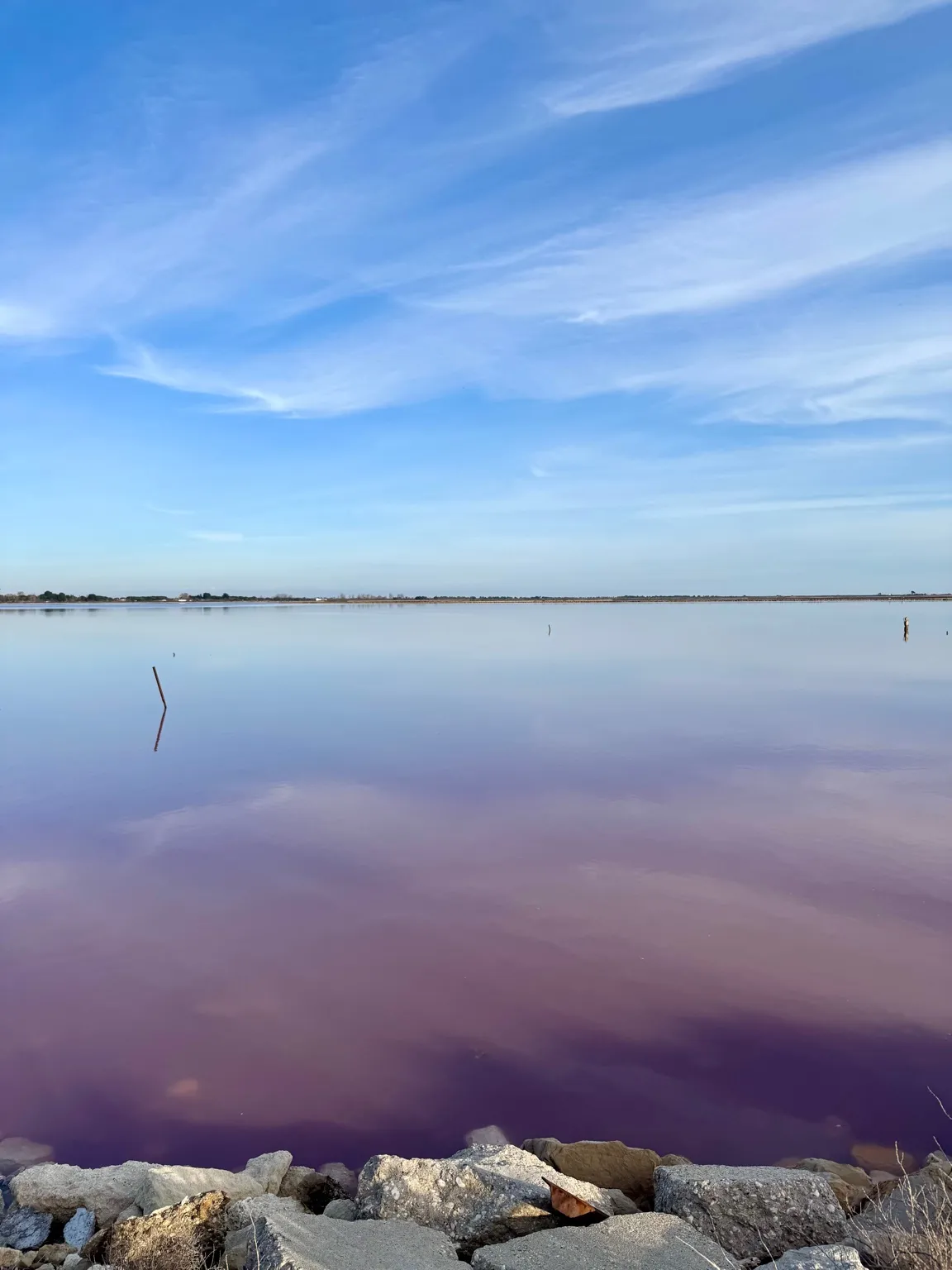 Rozległa panorama różowego jeziora w Camargue z błękitnym niebem odbijającym się w wodzie.