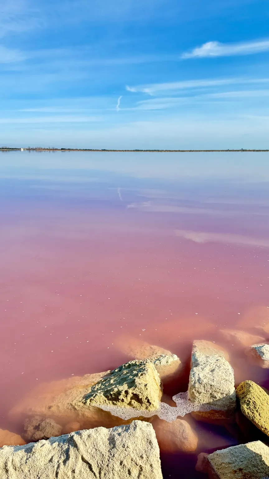 Zbliżenie na intensywnie różową wodę solniska w Camargue, z kamieniami zanurzonymi na brzegu.