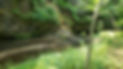 20210711_123832.jpeg