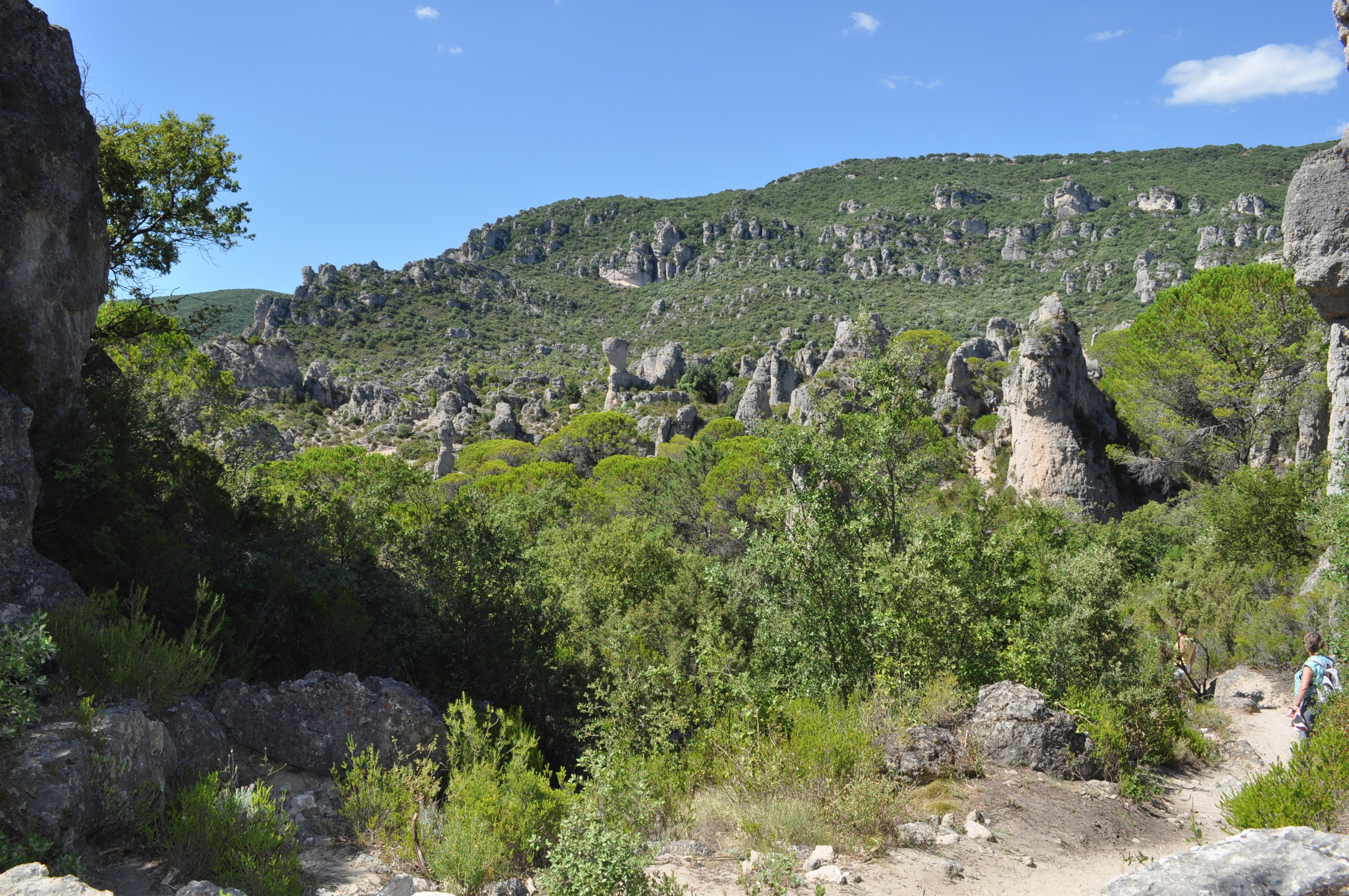 Moureze