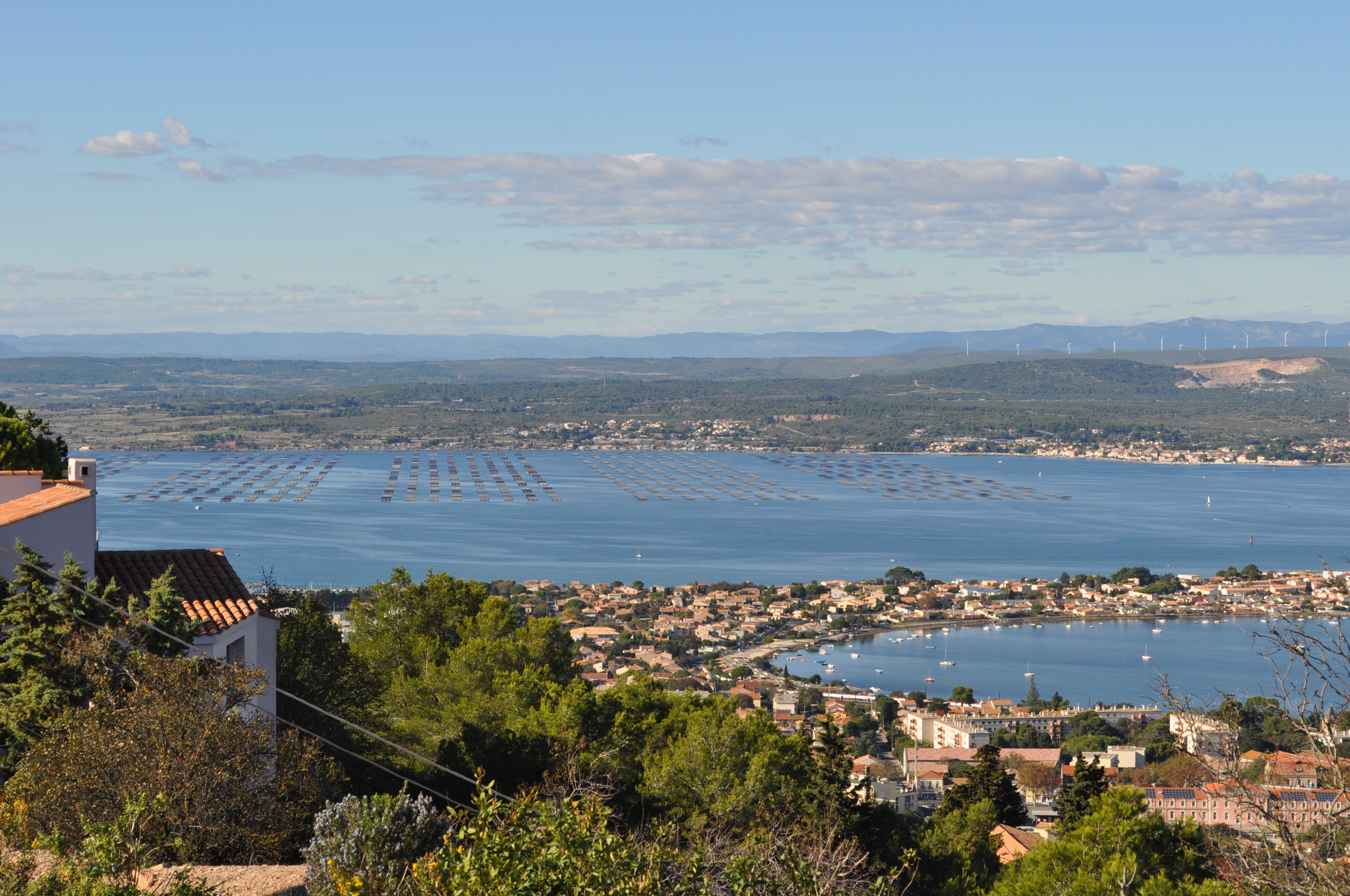 L'étang de Thau