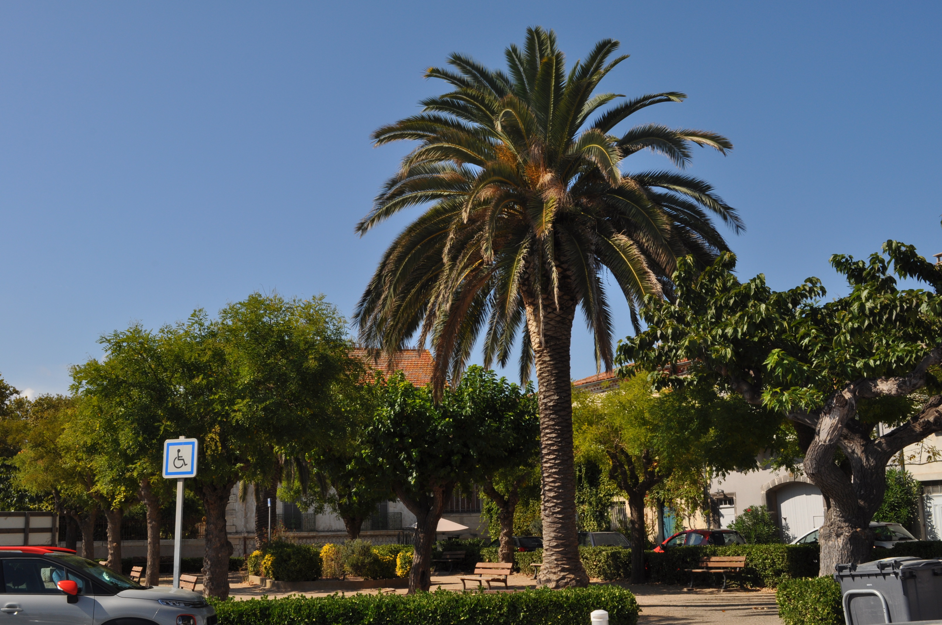 Marseillan port