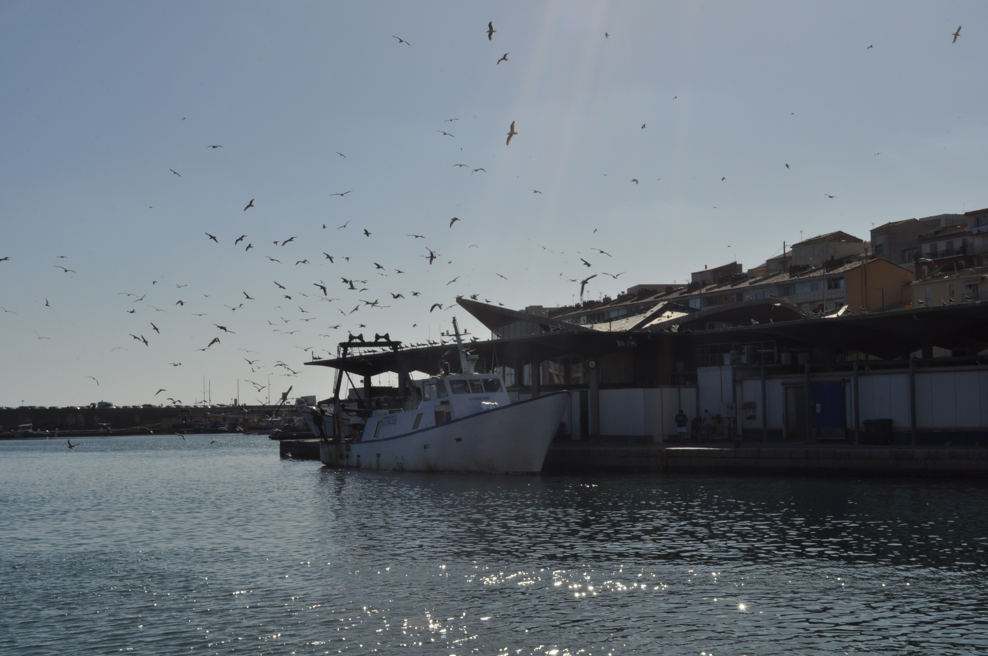 Sète