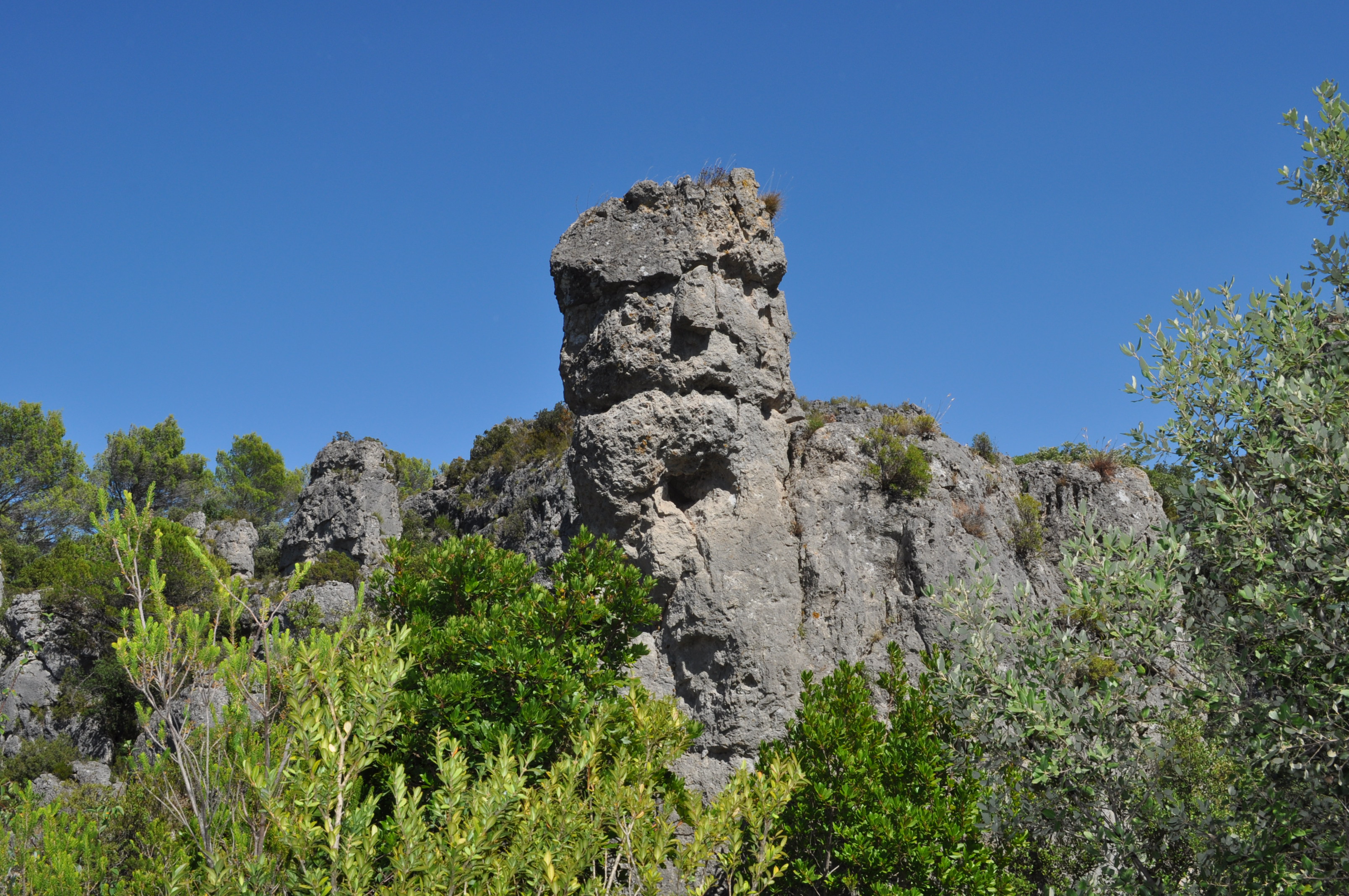 Moureze