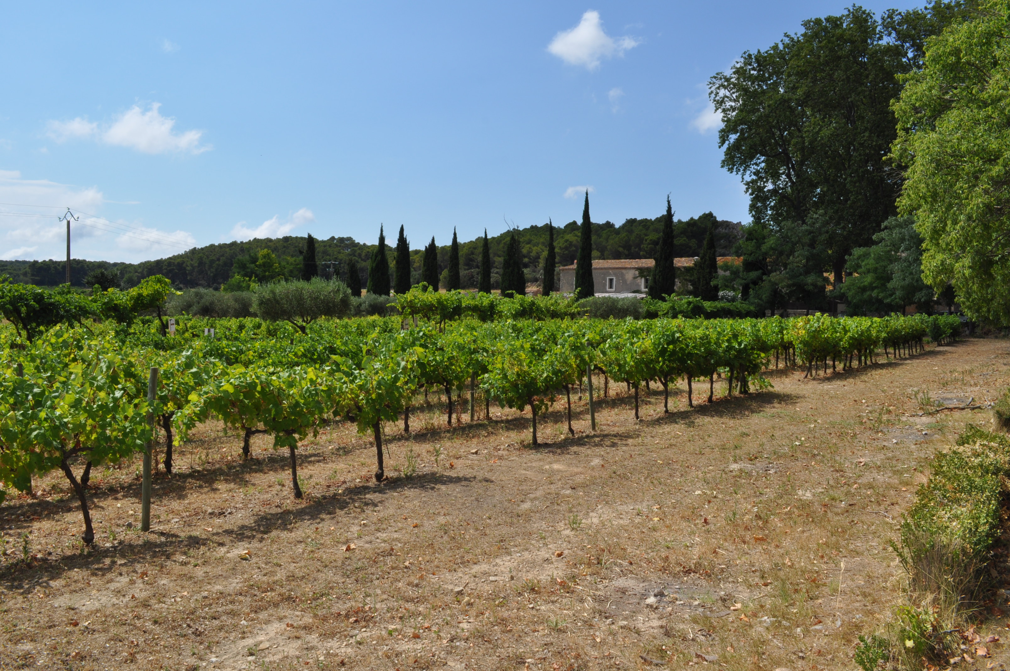 Abbaye de Valmagne