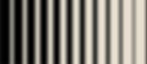 Petography-Patterns-HR-V5.jpg