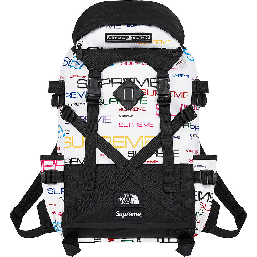 Supreme x The North Face Steep Tech Backpack