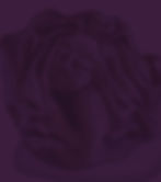 11-back.jpg