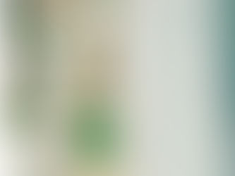 Etude environnementale - Suivi d'érosion